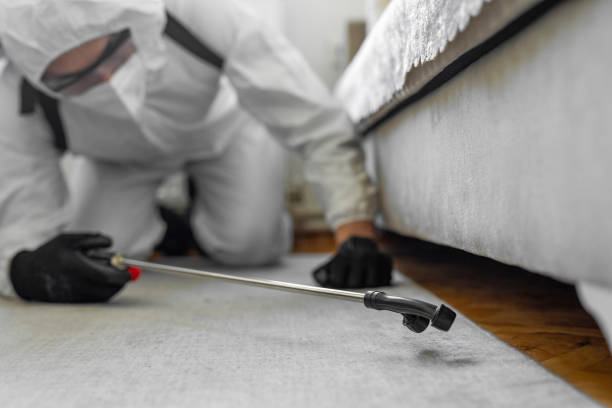 Professional Bed Bug Control technician working in West Liberty, OH