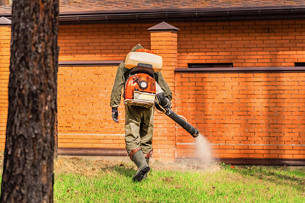 Trusted Cockroach Control service in West Liberty, OH - Nex Pest Control